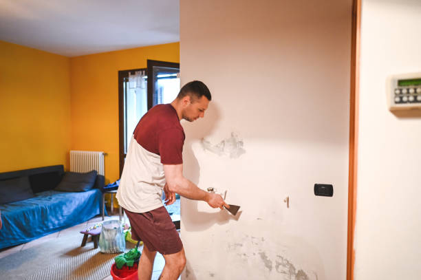 Best Professional Mold Removal  in New Philadelphia, OH